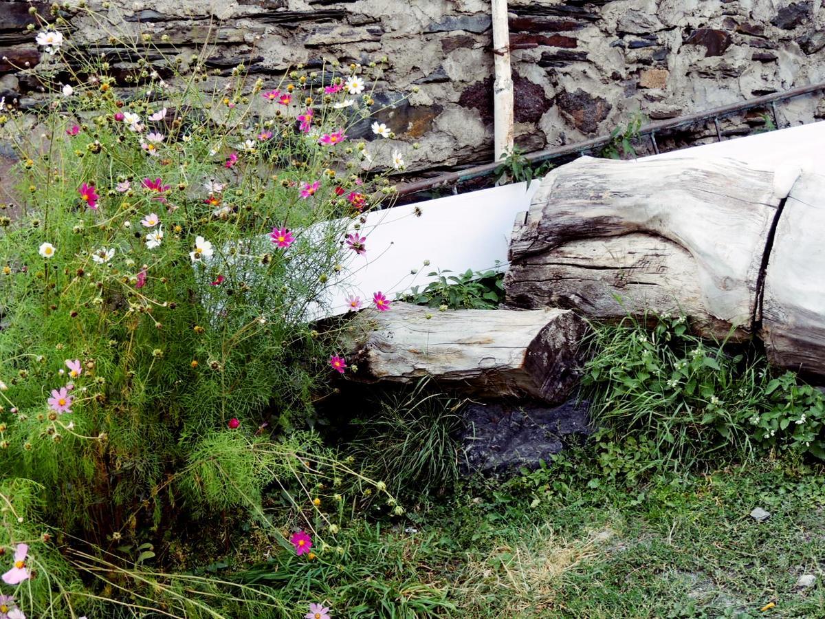 Nino Khetaguri Guest House Kazbegi Luaran gambar