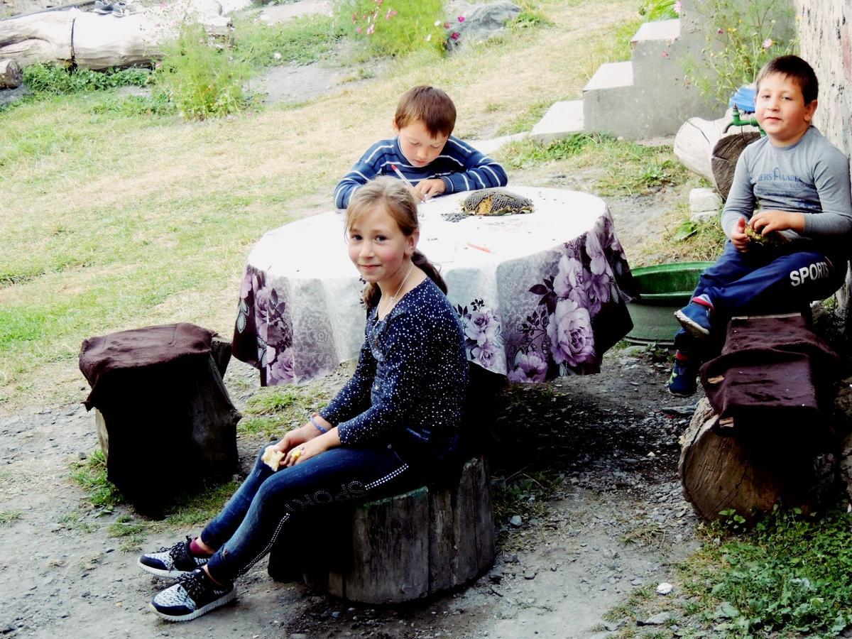 Nino Khetaguri Guest House Kazbegi Luaran gambar