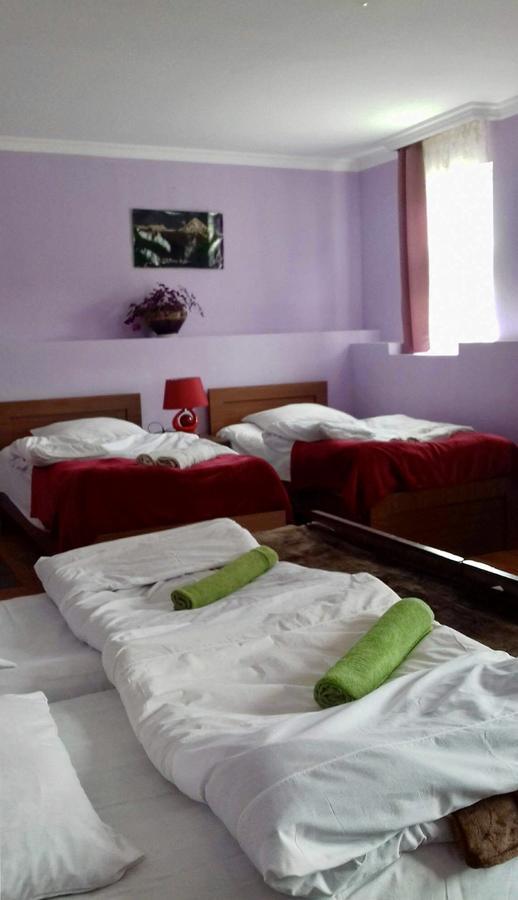 Nino Khetaguri Guest House Kazbegi Luaran gambar