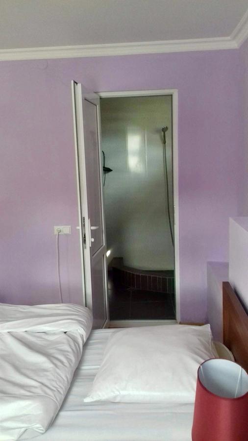 Nino Khetaguri Guest House Kazbegi Luaran gambar