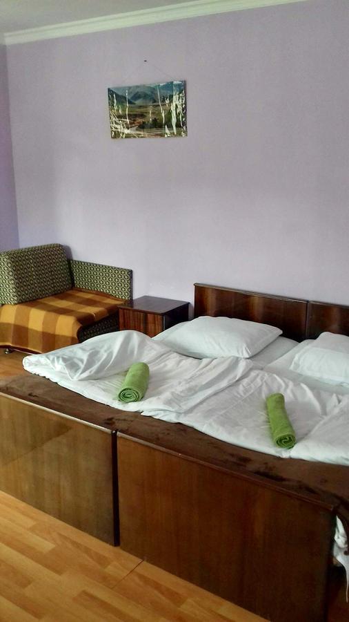 Nino Khetaguri Guest House Kazbegi Luaran gambar